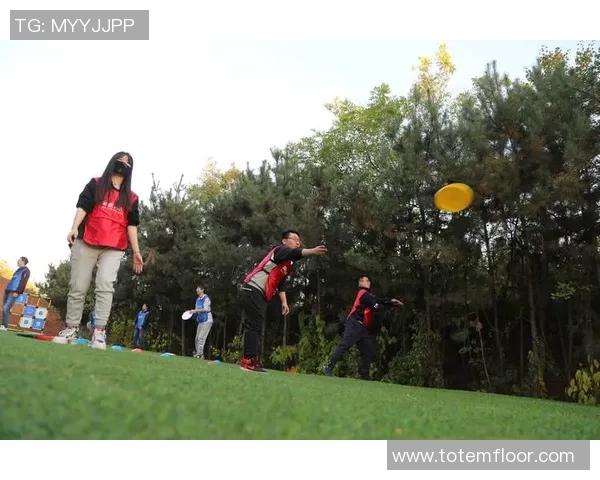 飞盘战术解析：上海飞盘队边路渗透体系的创新与应用探讨