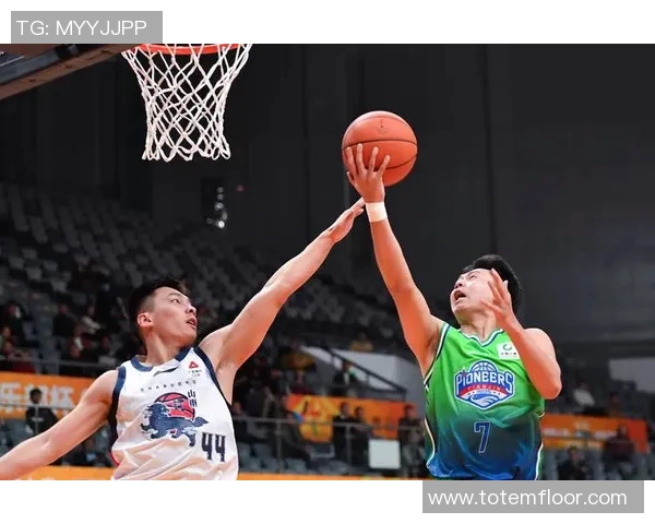 湖南省CBA篮球队的发展历程和现状